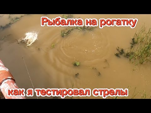Видео: Охота с рогаткой на сазана.