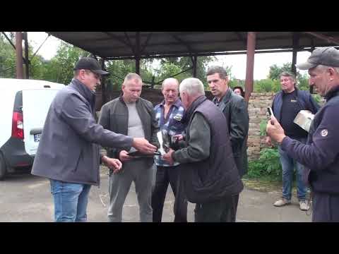 Видео: Відвідали голубодром Житомир