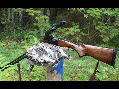 Видео: Комбинированное ружье иж (мр) 94 север. Практика охоты.