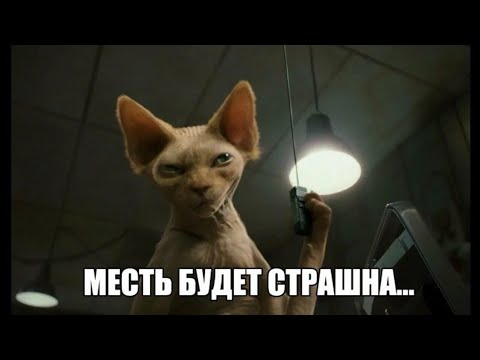 Видео: ‼️КТО ВАМ МСТИЛ, ДА В ИТОГЕ СЕБЯ ПОГУБИЛ? #бумеранг