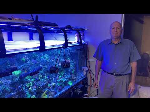 Видео: Paletta 500 — обновление за 1 год — динофлагелляты и идеальный поток