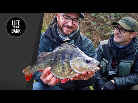 Видео: ЛОВЛЯ ОКУНЯ НА БЛЕСТЯЩУЮ ПРИМАНКУ - Как ловить рыбу на канале