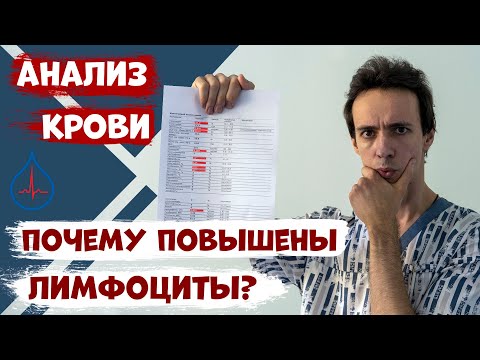 Видео: Почему повышены лимфоциты в анализе крови? Что с этим делать?