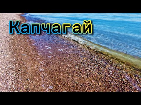 Видео: Капчагай |  3-я насосная | 9 августа 2025