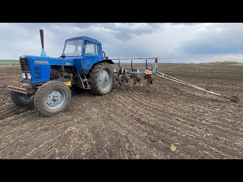 Видео: Посев подсолнуха МТЗ-80 + СУПН-8 20.04.22