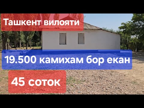 Видео: Бунака нархлар факат Рамиз узда Хонадон сотилади Ташкент вилояти Бука тумани