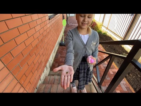 Видео: ВЛОГ Алиса СНОВА ИДЁТ В ШКОЛУ! Соскучилась по одноклассникам! Наводим порядок на нашем участке!