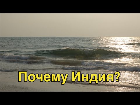 Видео: Dana Protasova: моя параллельная жизнь!🙃
