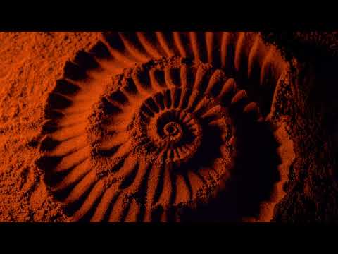 Видео: ЖЛЪЧ / ГРИГОВОР / ГЕНА - КОЙ ЗНАЕ КОЛКО