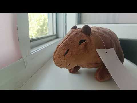 Видео: влог распаковки капибары💞теперь буду снимать с басиками и капибарой.#врекиютуба