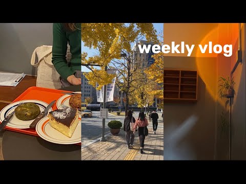 Видео: VLOG: УЧЕБА В КОРЕЕ, осенний семестр / week in my life in Korea