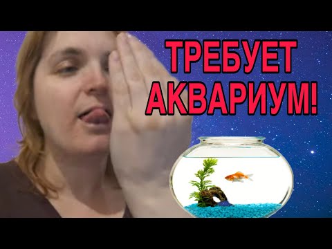 Видео: ТРЕБУЕТ АКВАРИУМ. VREDINA LIFE. ОБЗОР.