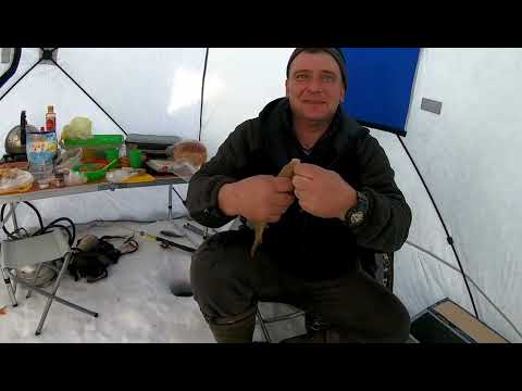 Видео: Рыбалка в коряжнике на окуня. Январское глухозимье на Сергеевском Водохранилище.