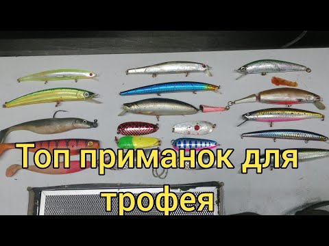 Видео: Топ приманок на тайменя. Сахалинский таймень.Сахалинская рыбалка & Sakhalin fishing