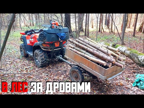 Видео: В ЛЕС ЗА ДРОВАМИ НА КВАДРОЦИКЛЕ С ПРИЦЕПОМ