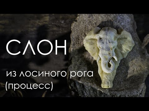 Видео: СЛОН из лосиного рога. Процесс резьбы