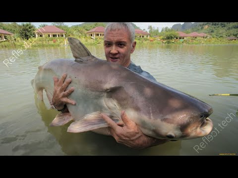 Видео: Jeens (жена) победил гига рыбу в Skyrim Requiem #13