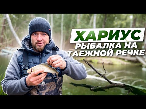 Видео: Хариус. Рыбалка на таежной речке