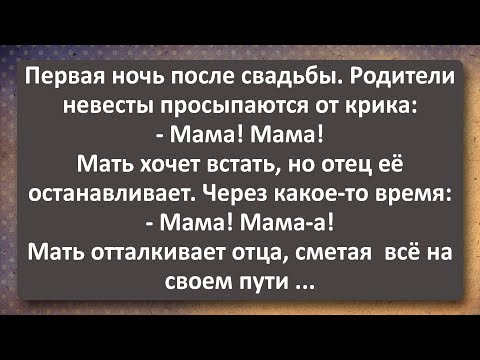 Видео: Ночь После Свадббы! Лучшие Анекдоты Всех Времен!