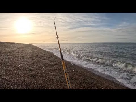 Видео: Чесил клюнул на заброс! 🎣👍Погодное окно даёт хорошие результаты. Морская рыбалка на берегу пляжа ...
