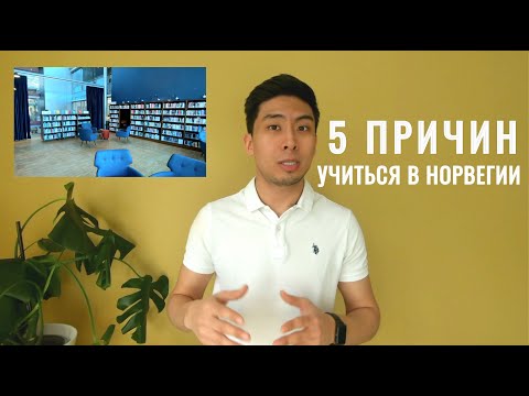 Видео: ТОП 5 Причин учиться в Норвегии + Бонусы