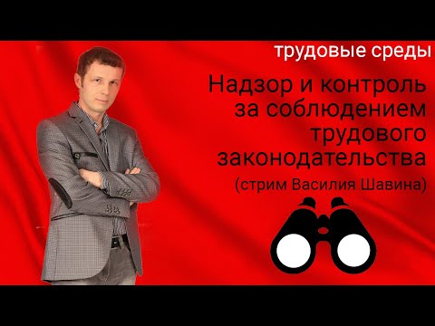Видео: Трудовые споры (стрим Василия Шавина)