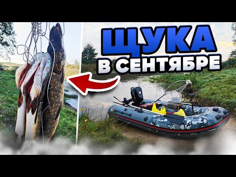 Видео: Река Птичь. Щука на воблеры. Рыбалка в Беларуси. 
