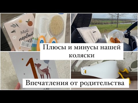 Видео: МЫСЛИ О РОДИТЕЛЬСТВЕ 👨‍👩‍👧 ПЛЮСЫ И МИНУСЫ НАШЕЙ КОЛЯСКИ