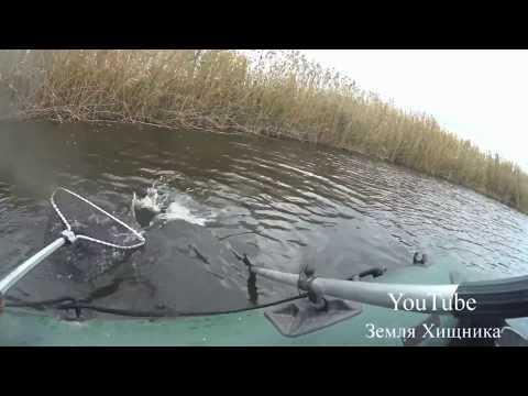 Видео: Вот это рыбалка на щуку !  Ловим монстров . Рыбалка  на щуку   Ростовская область ноябрь 2017