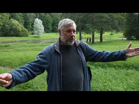 Видео: Нужно ли помогать людям, особенно если вас об этом не просят?