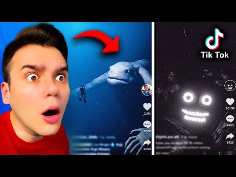 Видео: я нашёл его в тикток...