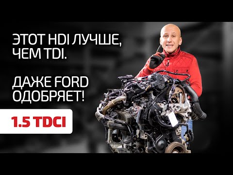 Видео: 👍1.5 TDCI - прекрасный французский дизель для Ford. Какие недостатки в нём есть?