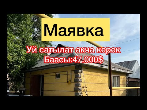 Видео: Маявкадан уй сатылат таз арада