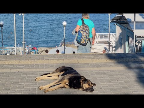 Видео: #АНАПА ПЛЯЖИ ПУСТЕЮТ. ВОДА ЧИСТАЯ, НО МЕДУЗЫ  ПЛЯЖ ВЫСОКИЙ БЕРЕГ.