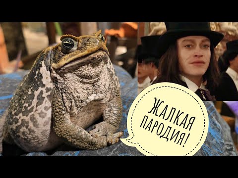 Видео: Хитрые сороки объедают сов. Жаба Брунгильда показывает характер и ужинает цыплятами