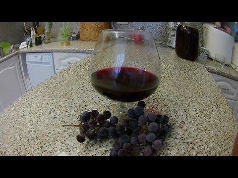 Видео: НАСТОЙКА ВИНОГРАДНАЯ ИЗАБЕЛЛА  ВКУСНО  БЫСТРО И СЕРДИТО