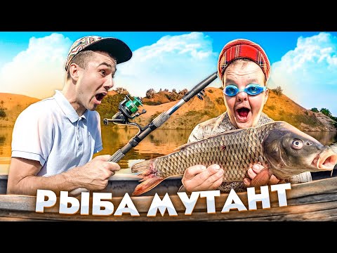 Видео: НАГЛАЯ РЫБА в ЗАТОПЛЕННОМ КАРЬЕРЕ !! ГИГАНТСКИЕ СОМЫ !