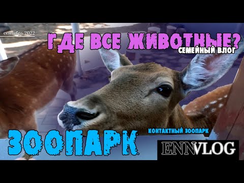Видео: В ЗООПАРКЕ НЕТ ЖИВОТНЫХ! НО МНОГО ИНТЕРЕСНОГО ДЛЯ ДЕТЕЙ! Московский зоопарк с Энн. ПОСМОТРИМ?