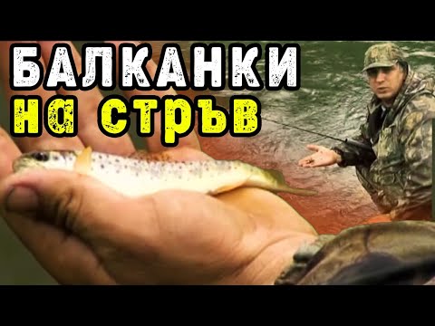 Видео: БАЛКАНКИ на стръв с Пламен Бойков - II част