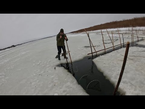 Видео: Рыбалка на фитили на Севере. Первый налим зимнего сезона