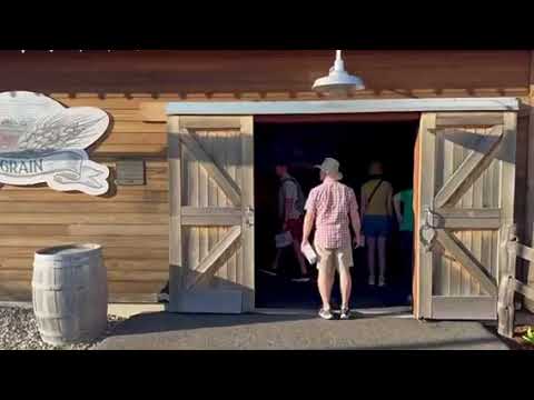 Видео: #агро #свято #врожаю #agro #harvest #holiday 
