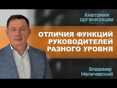 Видео: Отличия функций руководителей высшего, среднего и линейного уровня