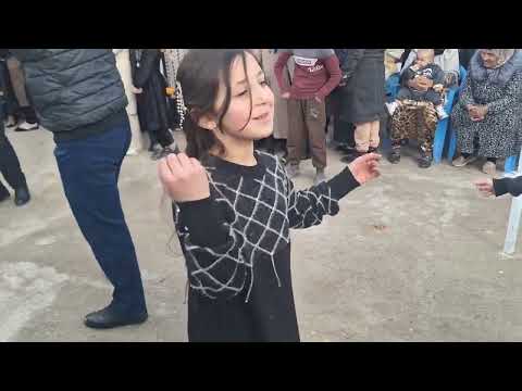 Видео: Анвари Солех туёна 2025