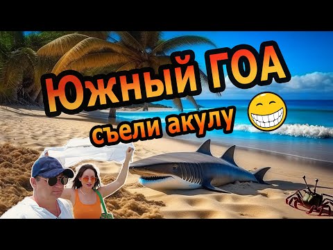 Видео: Южный ГОА . Стоит ли ехать? . Палолем лучший пляж Индии?