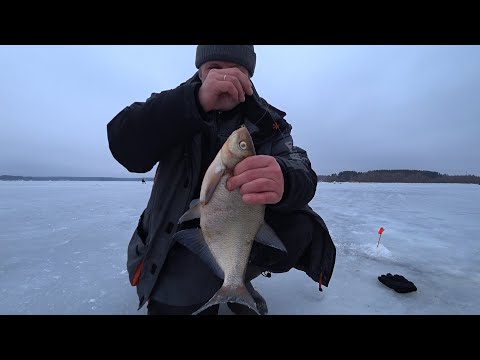 Видео: Ловля леща на ведьму в январе