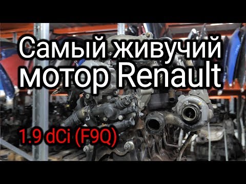 Видео: Надежный или неудачный? Разбираем все проблемы дизеля Renault 1.9 dCi (F9Q)