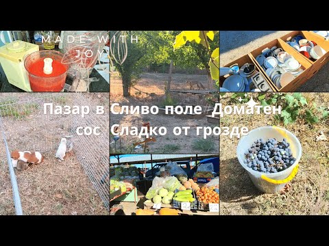 Видео: Пазар в Сливо поле#Доматен сос#Сладко от грозде