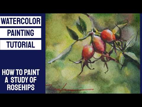 Видео: Урок по акварели — Как нарисовать акварельный этюд шиповника. Цвет, свет и объём #скетч