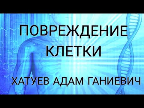 Видео: Повреждение клетки. «Лекция по патофизиологии»