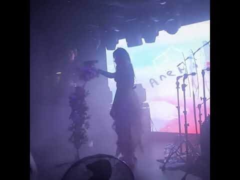 Видео: концерт Алёны Швец в Красноярске 11.04.2024